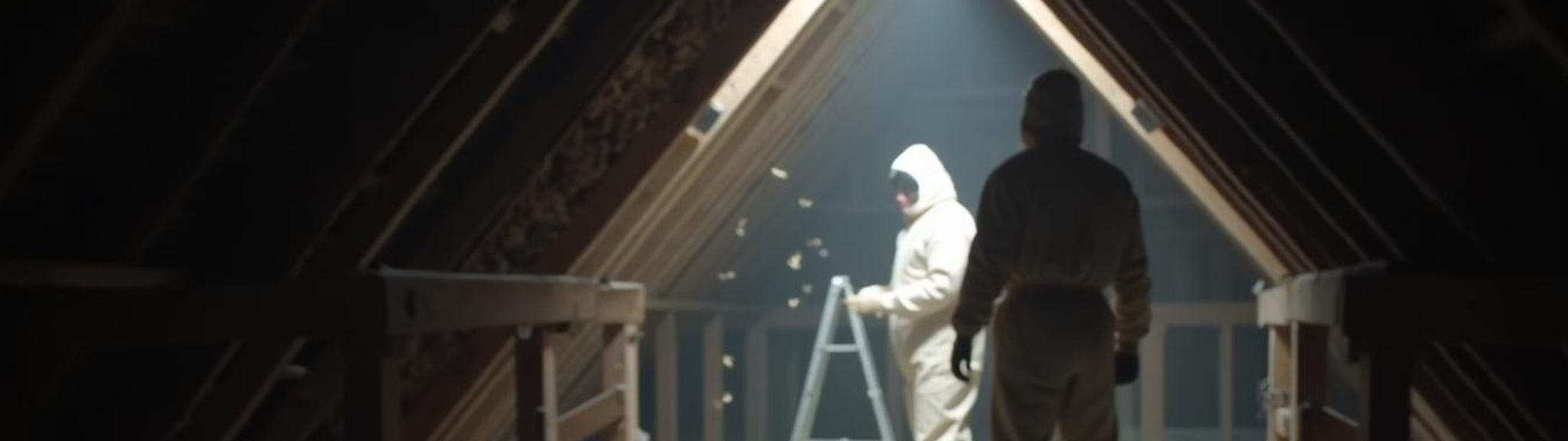 Destruction nids frelons guêpes Marguerittes