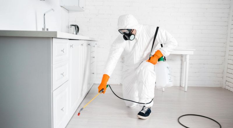 Désinfection après infestation à Marguerittes