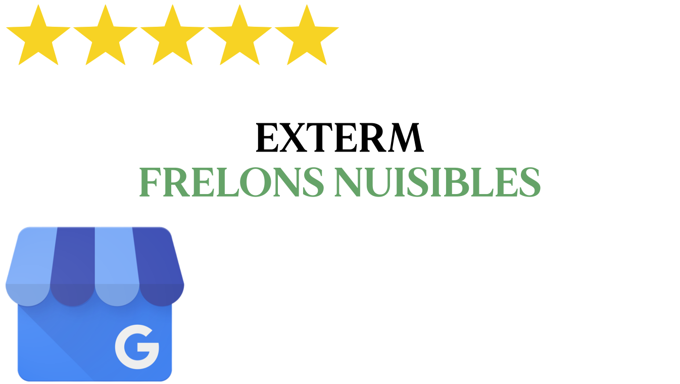 Voir nos avis Google 5 étoiles